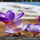 Neben Live Wallpapern für Android  kannst du die apk des Hintergrunds Frühling: Natur gratis herunterladen.