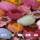 Neben Live Wallpapern für Android Romantik kannst du die apk des Hintergrunds Ostereier gratis herunterladen.