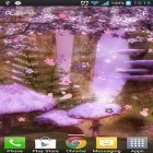 Lade Fantasy Sakura für Android und andere kostenlose HTC Desire SV Live Wallpaper herunter.