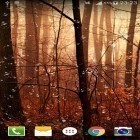 Neben Live Wallpapern für Android Winternatur kannst du die apk des Hintergrunds Tropfen der Glühwürmchen HD gratis herunterladen.