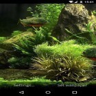 Neben Live Wallpapern für Android Spuren  kannst du die apk des Hintergrunds Fisch Aquarium 3D gratis herunterladen.