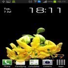Neben Live Wallpapern für Android Goldener Glanz  kannst du die apk des Hintergrunds Blütenknospe gratis herunterladen.