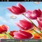 Neben Live Wallpapern für Android Sprungtor kannst du die apk des Hintergrunds Blumen 2015 gratis herunterladen.