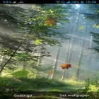 Neben Live Wallpapern für Android ICS Phasenstrahl kannst du die apk des Hintergrunds Wald gratis herunterladen.