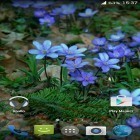 Neben Live Wallpapern für Android Frühlingslinien und Tulpen kannst du die apk des Hintergrunds Waldblumen gratis herunterladen.