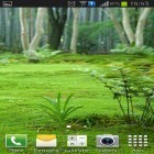 Neben Live Wallpapern für Android Glowing  kannst du die apk des Hintergrunds Waldlandschaft gratis herunterladen.