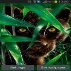 Neben Live Wallpapern für Android Planet  kannst du die apk des Hintergrunds Waldpanther gratis herunterladen.