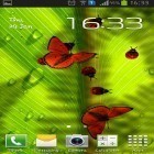 Neben Live Wallpapern für Android Grüner Frühling kannst du die apk des Hintergrunds Freundliche Käfer gratis herunterladen.