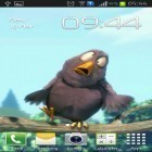 Neben Live Wallpapern für Android Schwarze Technologie  kannst du die apk des Hintergrunds Lustiger Vogel gratis herunterladen.