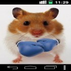 Neben Live Wallpapern für Android Flugzeuge  kannst du die apk des Hintergrunds Lustiger Hamster: Zersplitterter Bildschirm gratis herunterladen.