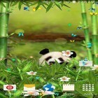 Neben Live Wallpapern für Android Löwen kannst du die apk des Hintergrunds Lustiger Panda gratis herunterladen.