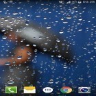 Neben Live Wallpapern für Android Wetter  kannst du die apk des Hintergrunds Glastropfen gratis herunterladen.