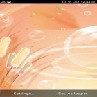Neben Live Wallpapern für Android Herbststraßen kannst du die apk des Hintergrunds Leuchtendes Wasser gratis herunterladen.