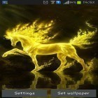 Neben Live Wallpapern für Android Nexus 6 kannst du die apk des Hintergrunds Goldenes Pferd gratis herunterladen.