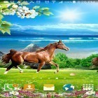 Neben Live Wallpapern für Android Blauer Himmel kannst du die apk des Hintergrunds Pferde gratis herunterladen.