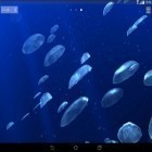 Neben Live Wallpapern für Android Mein Strand HD kannst du die apk des Hintergrunds Quallen 3D gratis herunterladen.