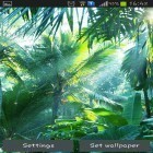Neben Live Wallpapern für Android Fantastischer Kubus: Flora kannst du die apk des Hintergrunds Dschungel gratis herunterladen.