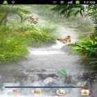 Neben Live Wallpapern für Android Nachthimmel  kannst du die apk des Hintergrunds Dschungel gratis herunterladen.