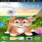 Neben Live Wallpapern für Android Liebe kannst du die apk des Hintergrunds Kätzchen gratis herunterladen.