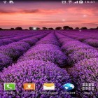 Lade Landschaft für Android und andere kostenlose Samsung Galaxy Beam Live Wallpaper herunter.