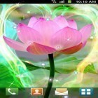 Neben Live Wallpapern für Android Sonniger Wald  kannst du die apk des Hintergrunds Lotus gratis herunterladen.