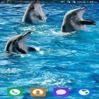 Neben Live Wallpapern für Android Grunge HD kannst du die apk des Hintergrunds Liebevoller Delphin gratis herunterladen.