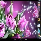 Neben Live Wallpapern für Android Rosen  kannst du die apk des Hintergrunds Magische Schmetterlinge gratis herunterladen.