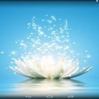 Neben Live Wallpapern für Android Magische Herzen kannst du die apk des Hintergrunds Magische Wasserlilien gratis herunterladen.