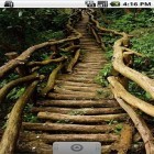 Neben Live Wallpapern für Android Fallende Blätter HD kannst du die apk des Hintergrunds Magischer Wald gratis herunterladen.