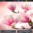 Neben Live Wallpapern für Android Kinematographisch kannst du die apk des Hintergrunds Magnolia gratis herunterladen.