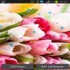 Neben Live Wallpapern für Android Ostereier kannst du die apk des Hintergrunds 8er März gratis herunterladen.