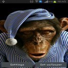 Neben Live Wallpapern für Android Schädel HD kannst du die apk des Hintergrunds Affe 3D gratis herunterladen.