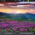Neben Live Wallpapern für Android Grüner Frühling kannst du die apk des Hintergrunds Bergblumen gratis herunterladen.