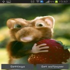 Neben Live Wallpapern für Android Polyinsel  kannst du die apk des Hintergrunds Maus mit Erdbeeren gratis herunterladen.