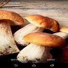 Neben Live Wallpapern für Android Lustige Katzen kannst du die apk des Hintergrunds Pilze gratis herunterladen.