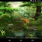 Neben Live Wallpapern für Android Regenwald 3D  kannst du die apk des Hintergrunds Natur 3D gratis herunterladen.