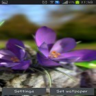 Neben Live Wallpapern für Android Hip Hop Tänze  kannst du die apk des Hintergrunds Lebende Natur: Frühlingsblumen 3D gratis herunterladen.