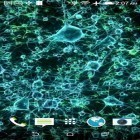 Neben Live Wallpapern für Android Optische Illusionen  kannst du die apk des Hintergrunds Neuron gratis herunterladen.
