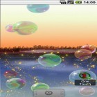 Neben Live Wallpapern für Android Ozean und Sonnenuntergang  kannst du die apk des Hintergrunds Nicky Bubbles gratis herunterladen.