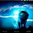 Neben Live Wallpapern für Android Spinne im Smartphone kannst du die apk des Hintergrunds Wölfe bei Nacht gratis herunterladen.