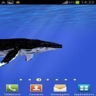 Neben Live Wallpapern für Android Traumfänger  kannst du die apk des Hintergrunds Ozean: Wal gratis herunterladen.