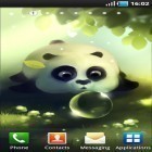 Neben Live Wallpapern für Android Cowboys von Dallas: Die Uhr kannst du die apk des Hintergrunds Süßer Panda gratis herunterladen.