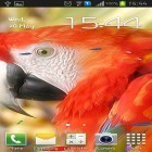 Neben Live Wallpapern für Android Natur Live kannst du die apk des Hintergrunds Papagai gratis herunterladen.
