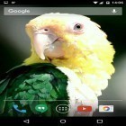 Neben Live Wallpapern für Android Mantikor kannst du die apk des Hintergrunds Papageien gratis herunterladen.