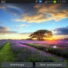 Neben Live Wallpapern für Android Krieger  kannst du die apk des Hintergrunds Perfekter Sonnenuntergang gratis herunterladen.