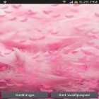 Neben Live Wallpapern für Android Weißer Tiger: Wasserkontakt kannst du die apk des Hintergrunds Pinke Federn gratis herunterladen.