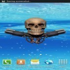 Neben Live Wallpapern für Android Ägyptisches Thema kannst du die apk des Hintergrunds Piratenschädel gratis herunterladen.