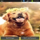 Neben Live Wallpapern für Android Hip Hop Tänze  kannst du die apk des Hintergrunds Hundewelpe gratis herunterladen.
