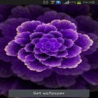 Neben Live Wallpapern für Android Erde  kannst du die apk des Hintergrunds Lila Blumen gratis herunterladen.