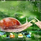 Neben Live Wallpapern für Android Seeungeheuer kannst du die apk des Hintergrunds Regen gratis herunterladen.